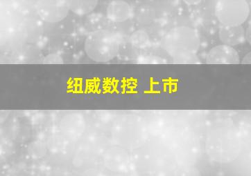 纽威数控 上市